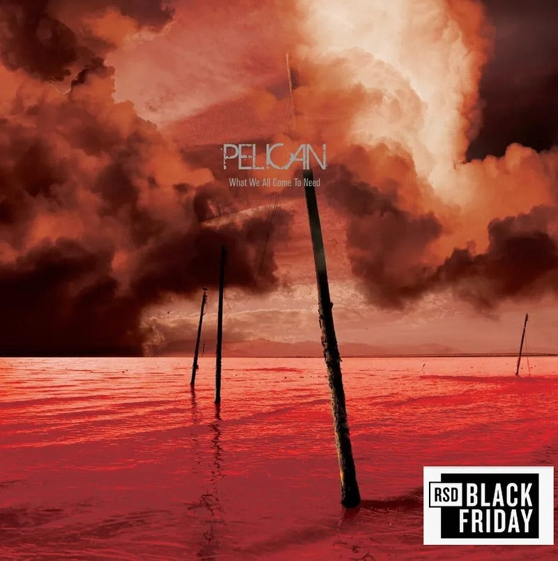 What We All Come To Need and Ephemeral - RSD Black Friday 2025