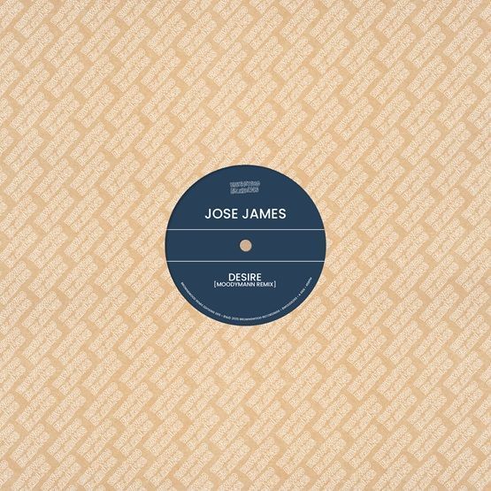 Brownswood Remix Editions 006 - RSD 2025