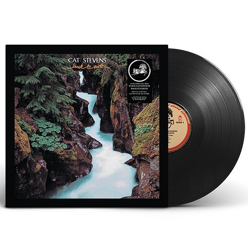 Back To Earth - RSD 2025