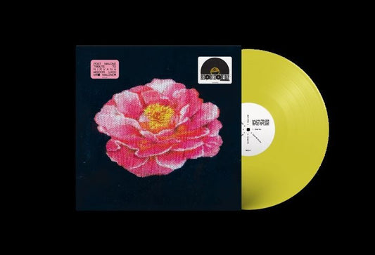 Post Malone Tribute to Nirvana - RSD 2025
